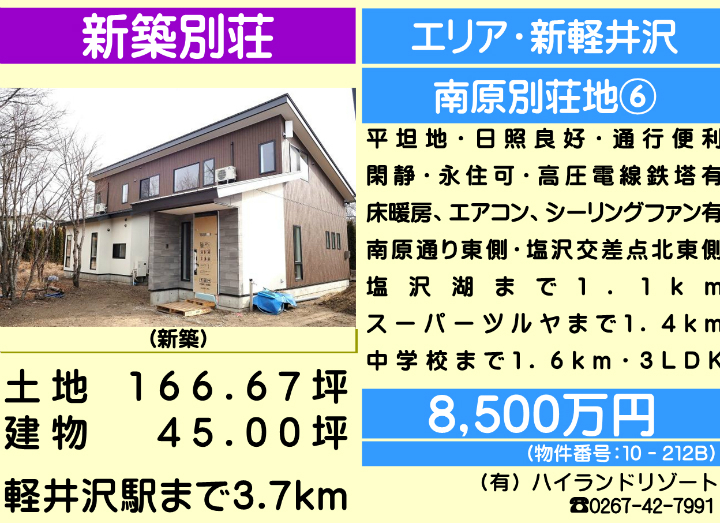 ԍF10-212B@y򒬑厚q@Vzʑ