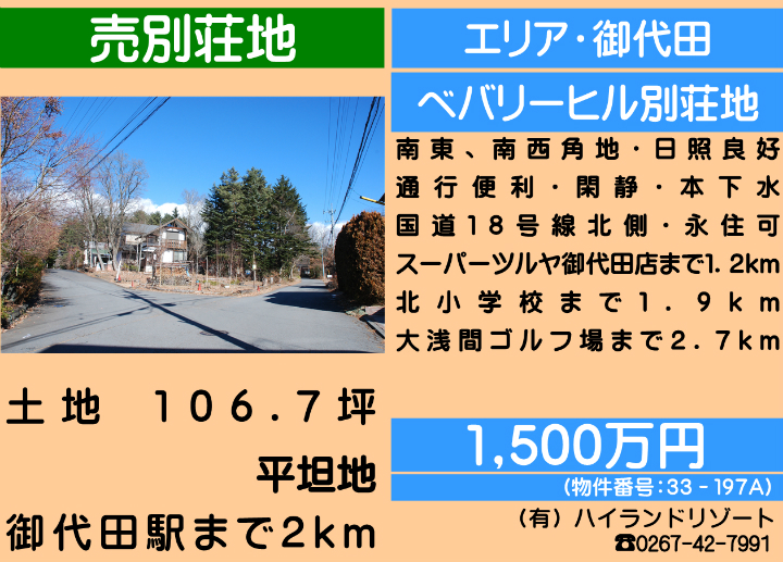 ԍF33-197A@c厚n@yn